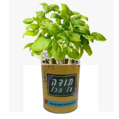 פחית זרעים